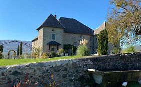 Chateau De Morgenex